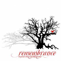 Remembrance (USA) : Beyond the Scope of Reason